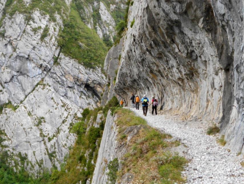 Le Gite Des Mousquetaires Lanne-en-Baretous Buitenkant foto