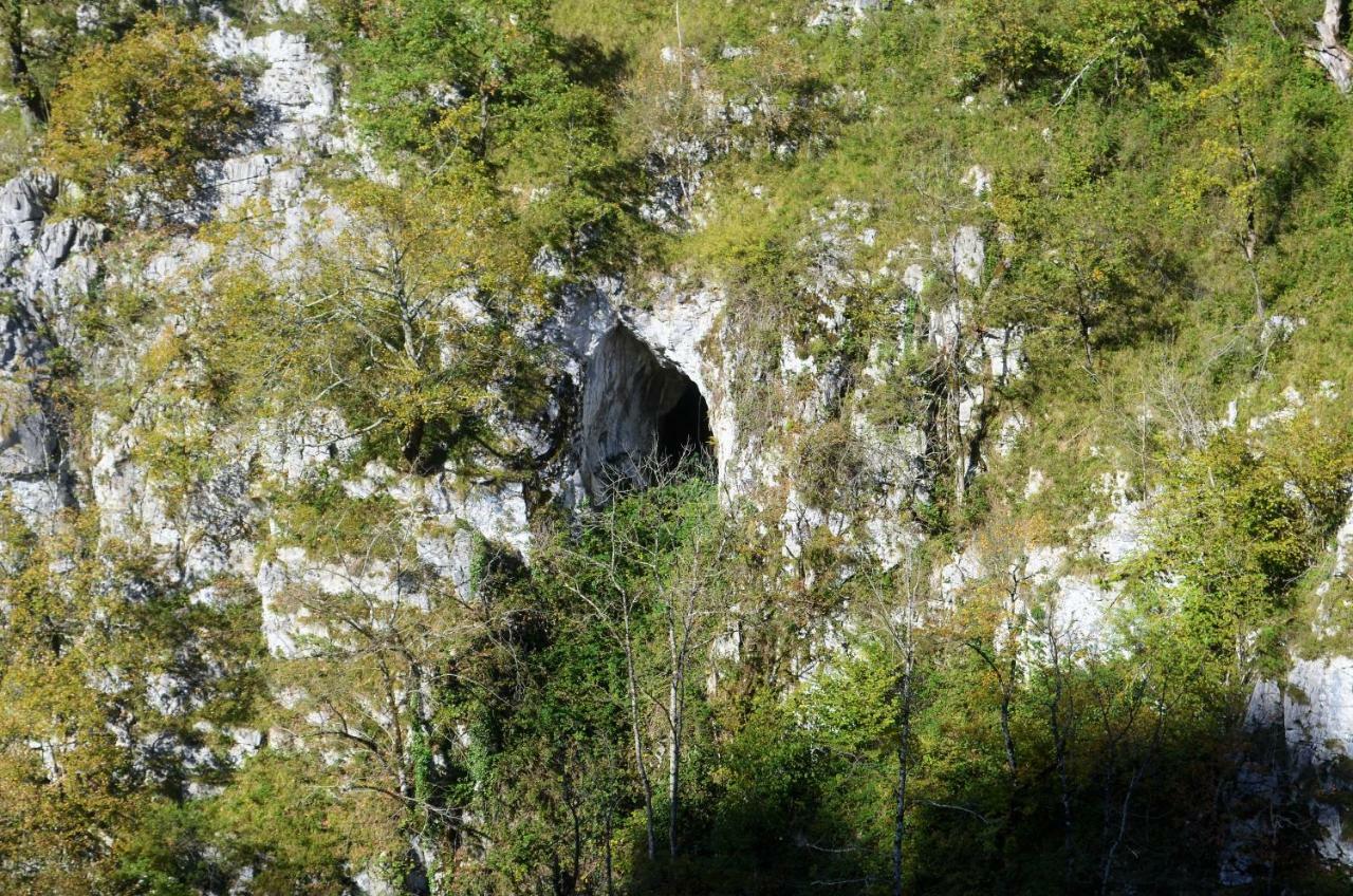 Le Gite Des Mousquetaires Lanne-en-Baretous Buitenkant foto