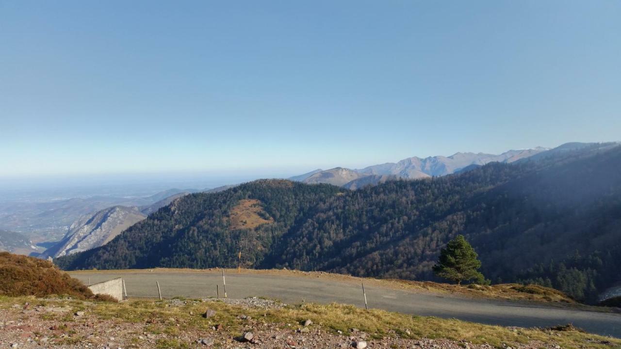 Le Gite Des Mousquetaires Lanne-en-Baretous Buitenkant foto