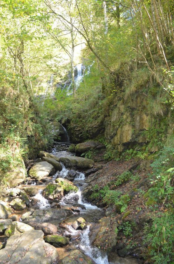 Le Gite Des Mousquetaires Lanne-en-Baretous Buitenkant foto