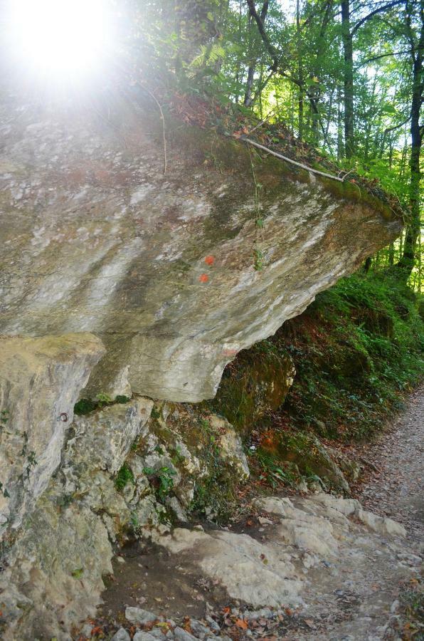 Le Gite Des Mousquetaires Lanne-en-Baretous Buitenkant foto